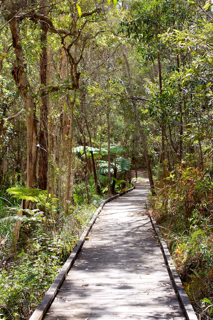 Boardwalk