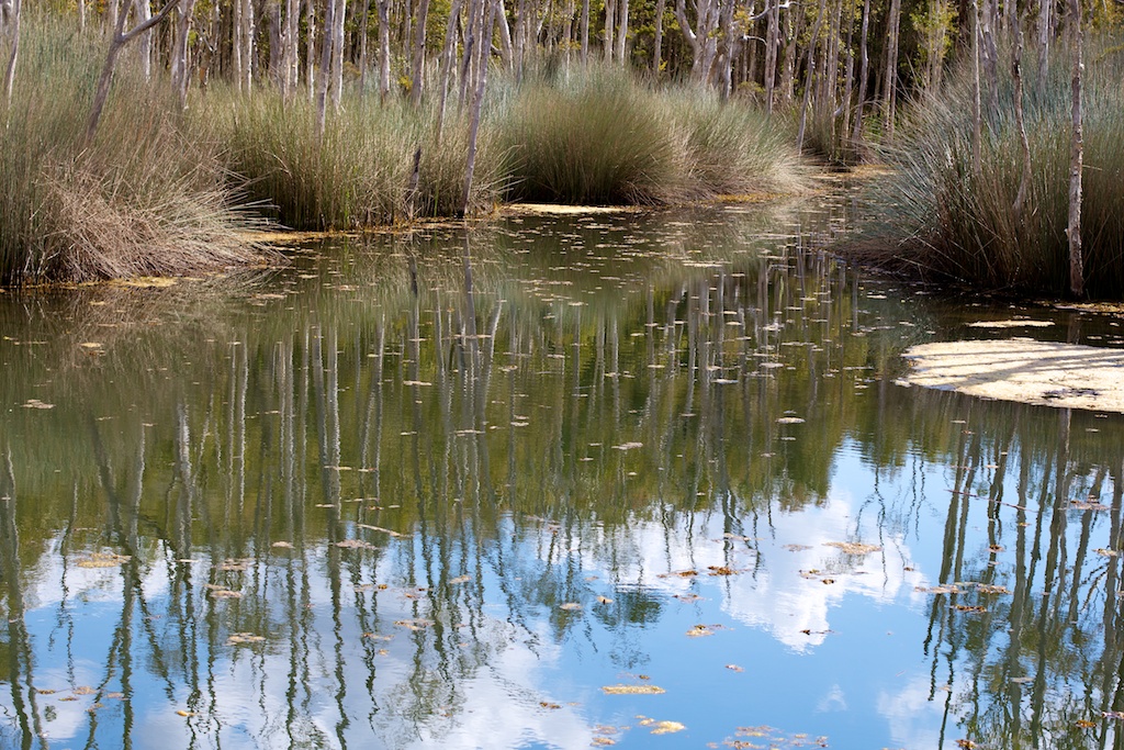 Lagoon