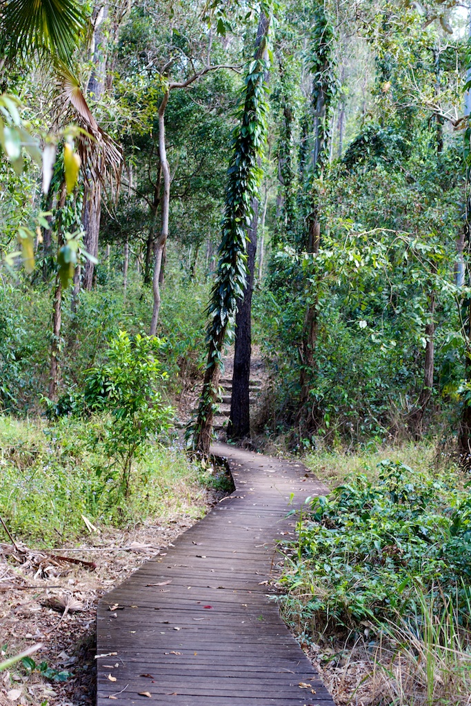 Boardwalk