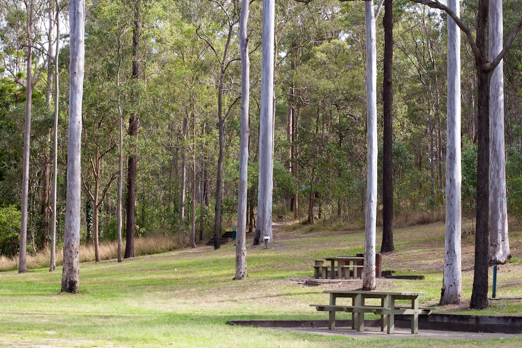 Picnic Area