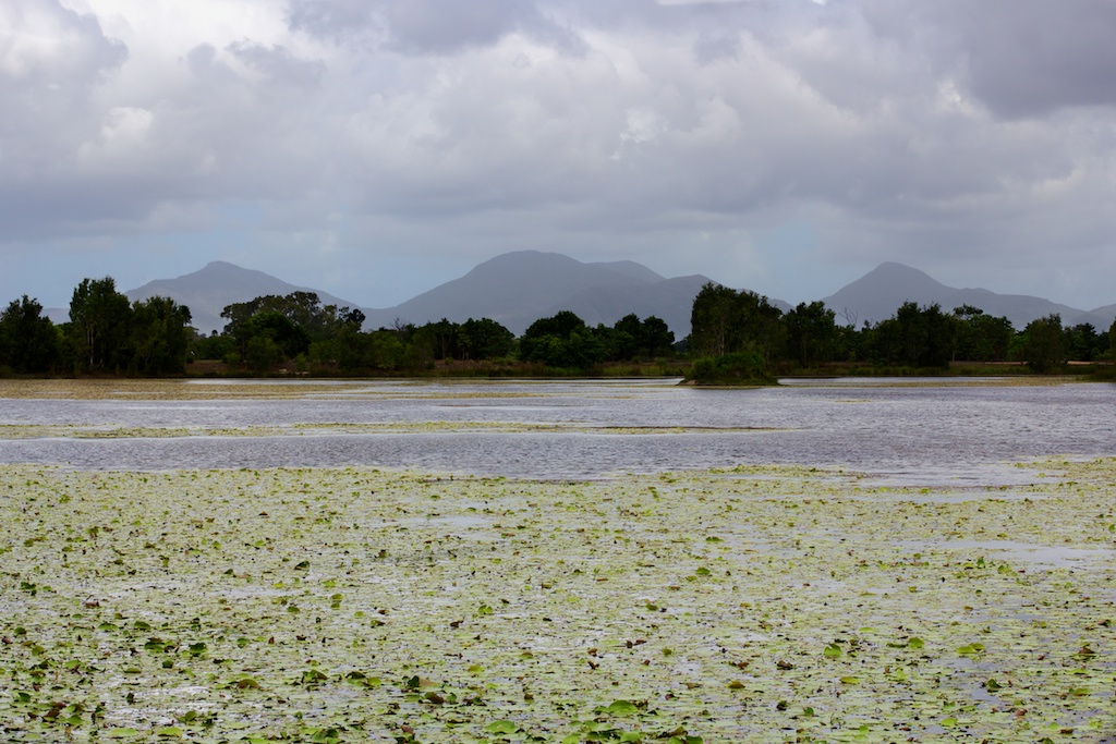 Cattana Wetlands