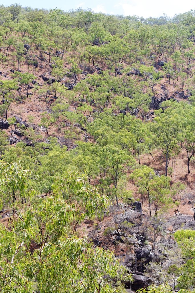 Emerald Falls landscape