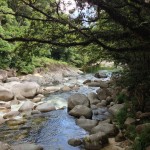 Mossman Gorge