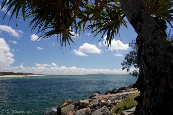 Noosa Reserve