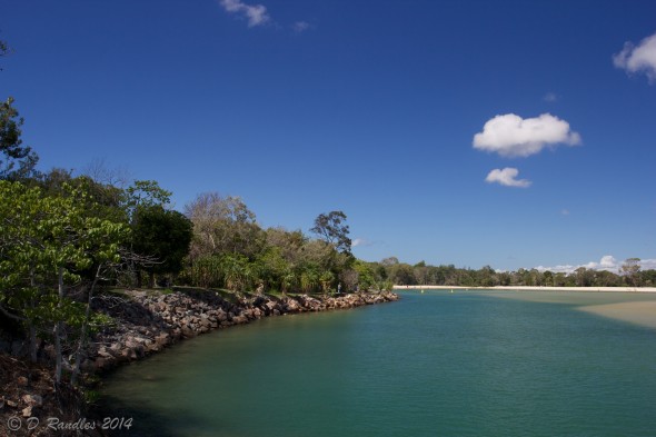 Noosa Reserve