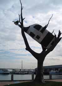 Cow in a Tree